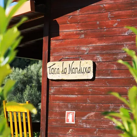 Villa Ramiro Celorico De Basto Exterior photo